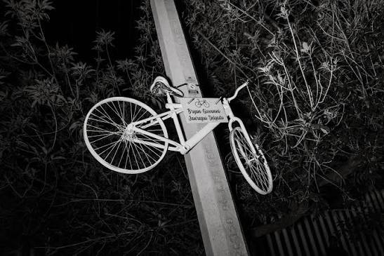 Muertes viales: una tragedia prevenible